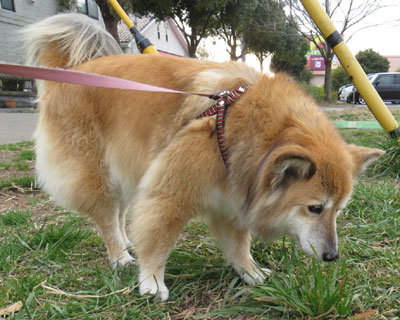 ����Ă�����肵��