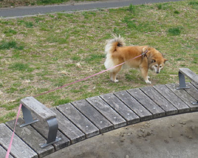 ���܂���