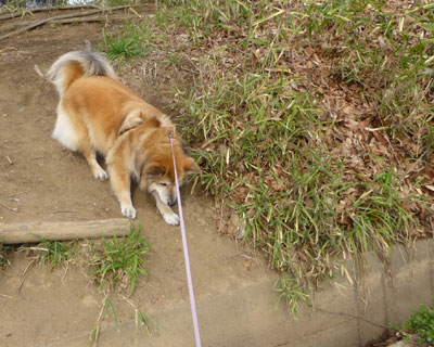 ��������ȂĂ�