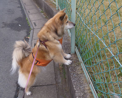 �˂�����