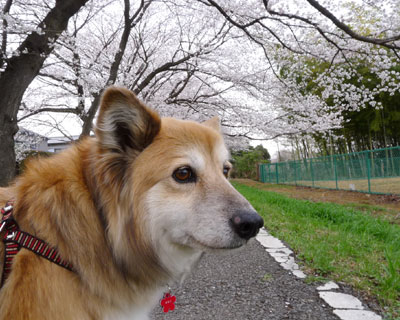 �����炫�Ǝ�