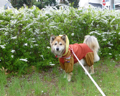 �����Ȃ����L���i�M�Ǝ�