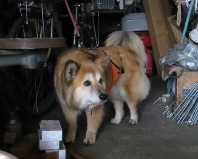 �܂����܂���