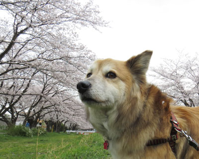 ���N�͓V�C������������