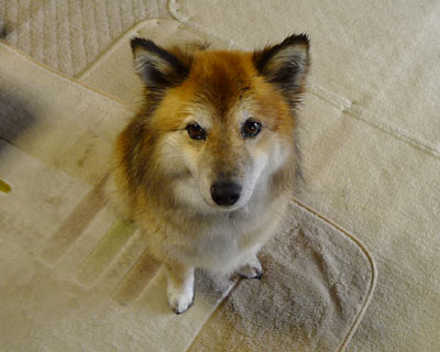 ���N�͗�������