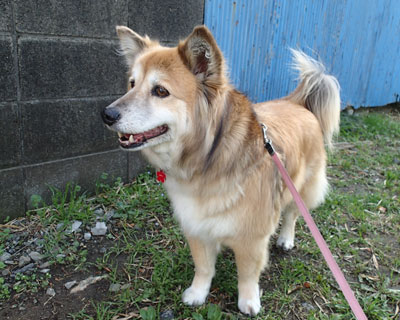 �h���Ȃ񂾂��āH