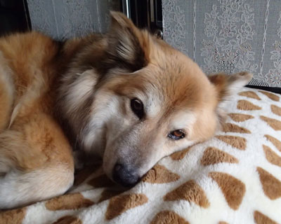 �܂����ʂȂ́H