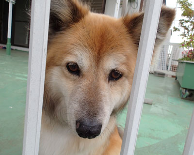 ����̓X�[�p�[�}�N����p�ɂ�����H