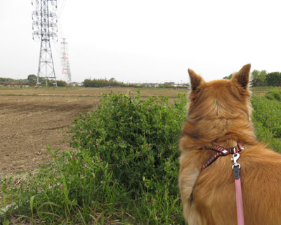 ���������c�A�����˂�