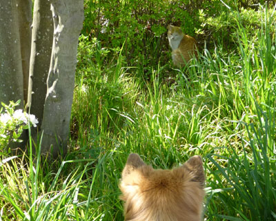 �����Ă�̂��ȁH