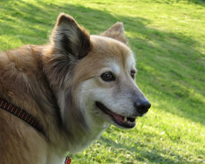 ����H�܂����ʂȂ́H