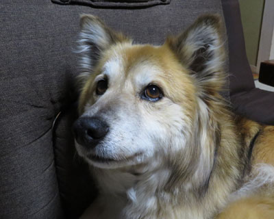 �������̕��������݂�������