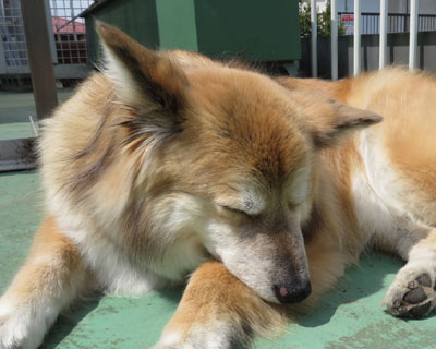 �Ȃ����E�������N���Ă�