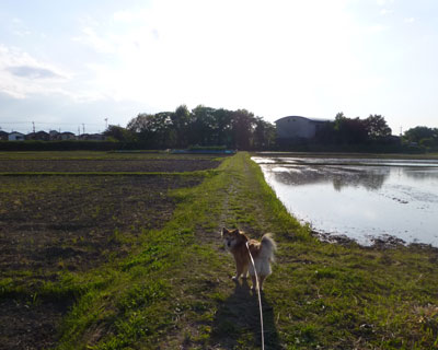 ���������^������