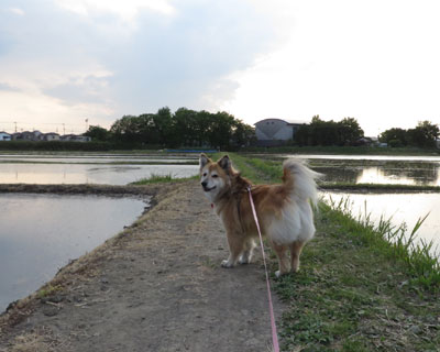 �^�����L������