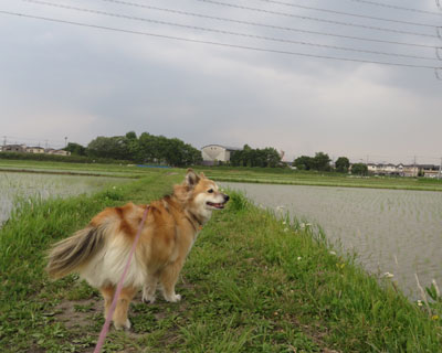 �^������t���ς������Ă���