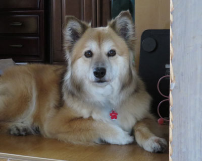 ���킢���������H