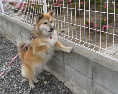 �˂�����