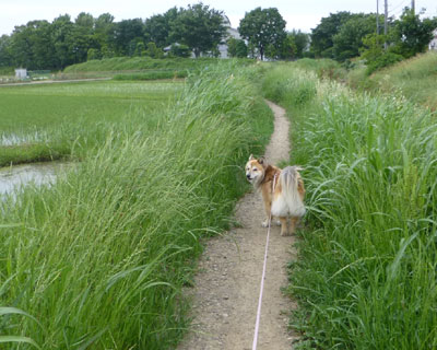 �W�����O���ɂȂ��Ă���