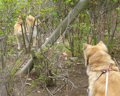 �˂��̈��A���ĔL�w�Ȃ́H