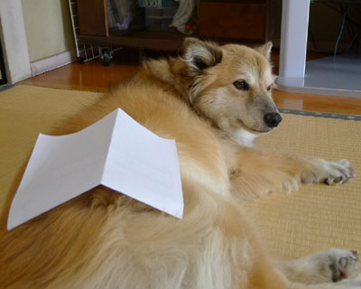 �Ȃɂ��ɉ�������ꂽ