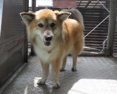 ����ɏo���ꂽ