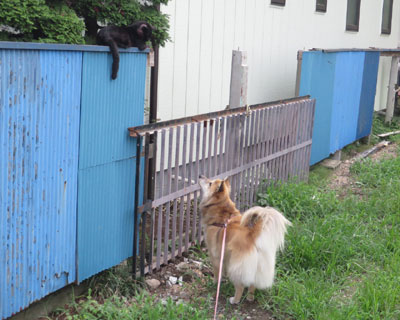 ���˂�����E�E�E