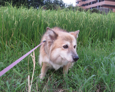 ���N�͖�����������