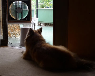 �U���̂��Ƃ͂�������