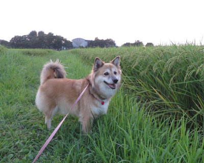 �z������Ă���