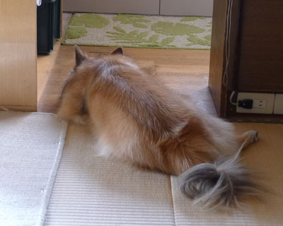 �����̏ꏊ�ɐ����o�ĂȂ���