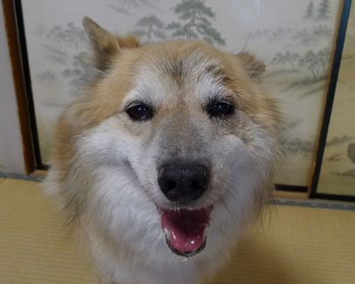 �ڂ�؂��ė[�����}����