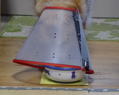 �������݂ɂ���