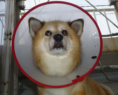 ���˂���͂�����������