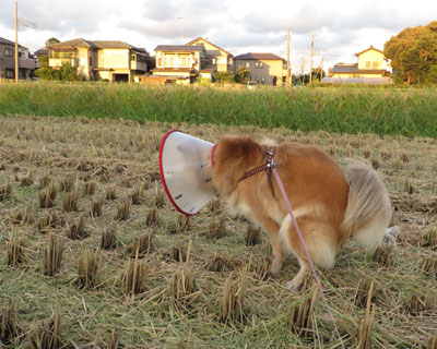 ��肪�n�܂���