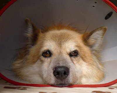 ���܂ł�������