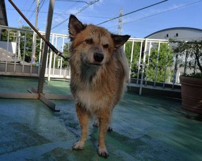 �􂦂�悤�ɂ��Ȃ����炵���E�E�E