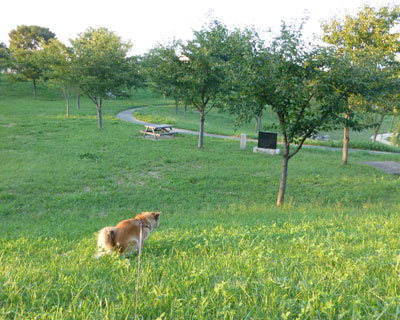 �g�C���͍L�X������