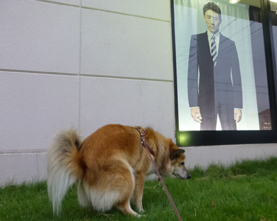 �N���Ɍ����Ă�C������