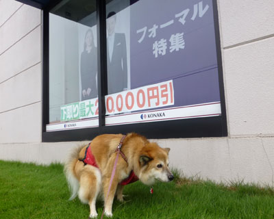 �M�������[���������C������