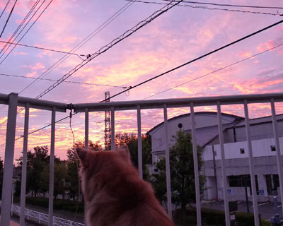 �P�O���܂ŏ����Ƃ�