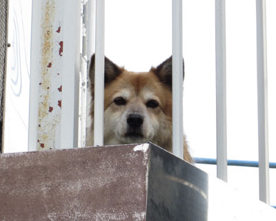 �u���Ă��ڂ�