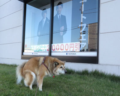 �����͏o�₷��