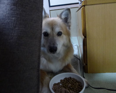 ��������ƐH�~���Ȃ�