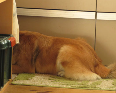 ���������E���H��