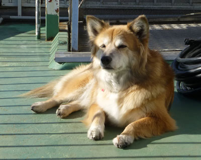 ���Ȃ����S�n�悢