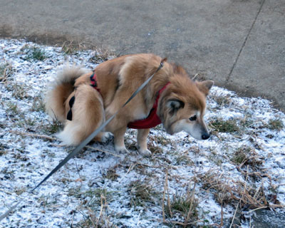 ����ȐႶ��y�����Ȃ�