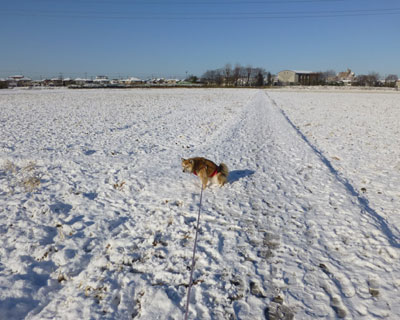 ��̗����͂܂Ԃ����񂾂�