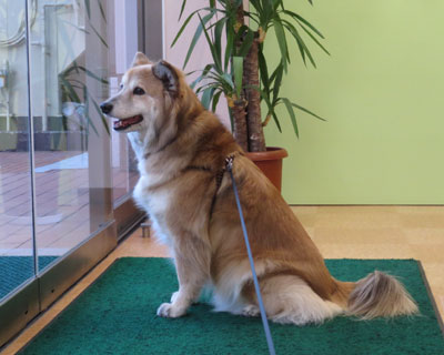 �a�@���炢