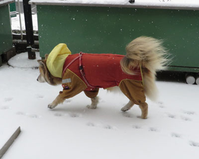 ���N�͐Ⴊ��������